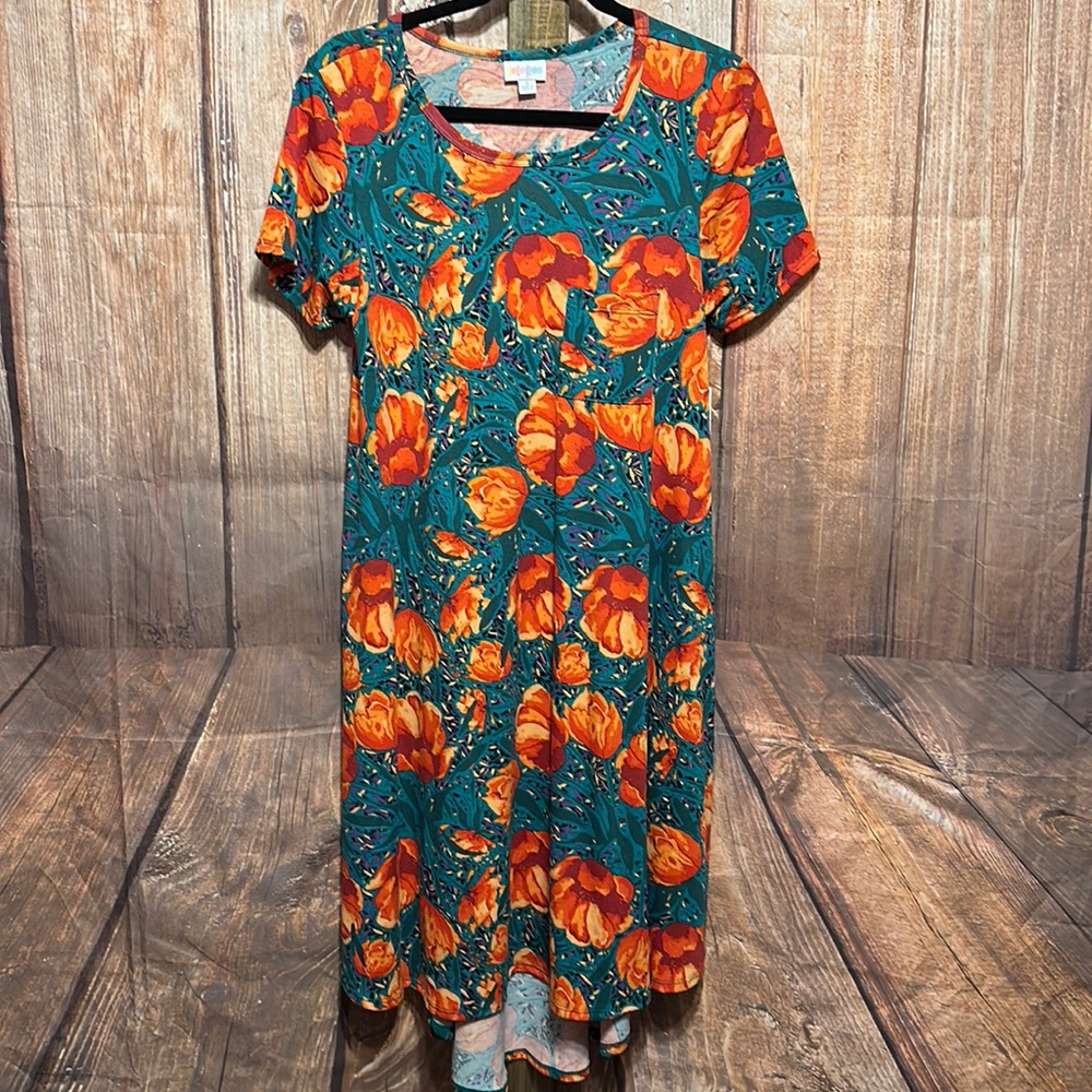 Lularoe Carly Dress